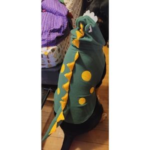 Five outfits for large-xl sized dog